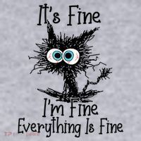 It's Fine I'm Fine Everything Is Fine Funny Cat Gift Women's Sweatshirt thumb 2