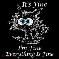 It's Fine I'm Fine Everything Is Fine Funny Cat Kids Sweatshirt thumb 2