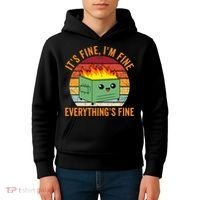 Its Fine Im Fine Everythings Fine Dumpster Fire Kids Hoodie thumb 4