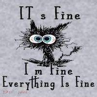 It's Fine I'm Fine Everything Is Fine Funny cat Women's Sweatshirt thumb 2