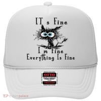 It's Fine I'm Fine Everything Is Fine Funny cat Hat thumb 0