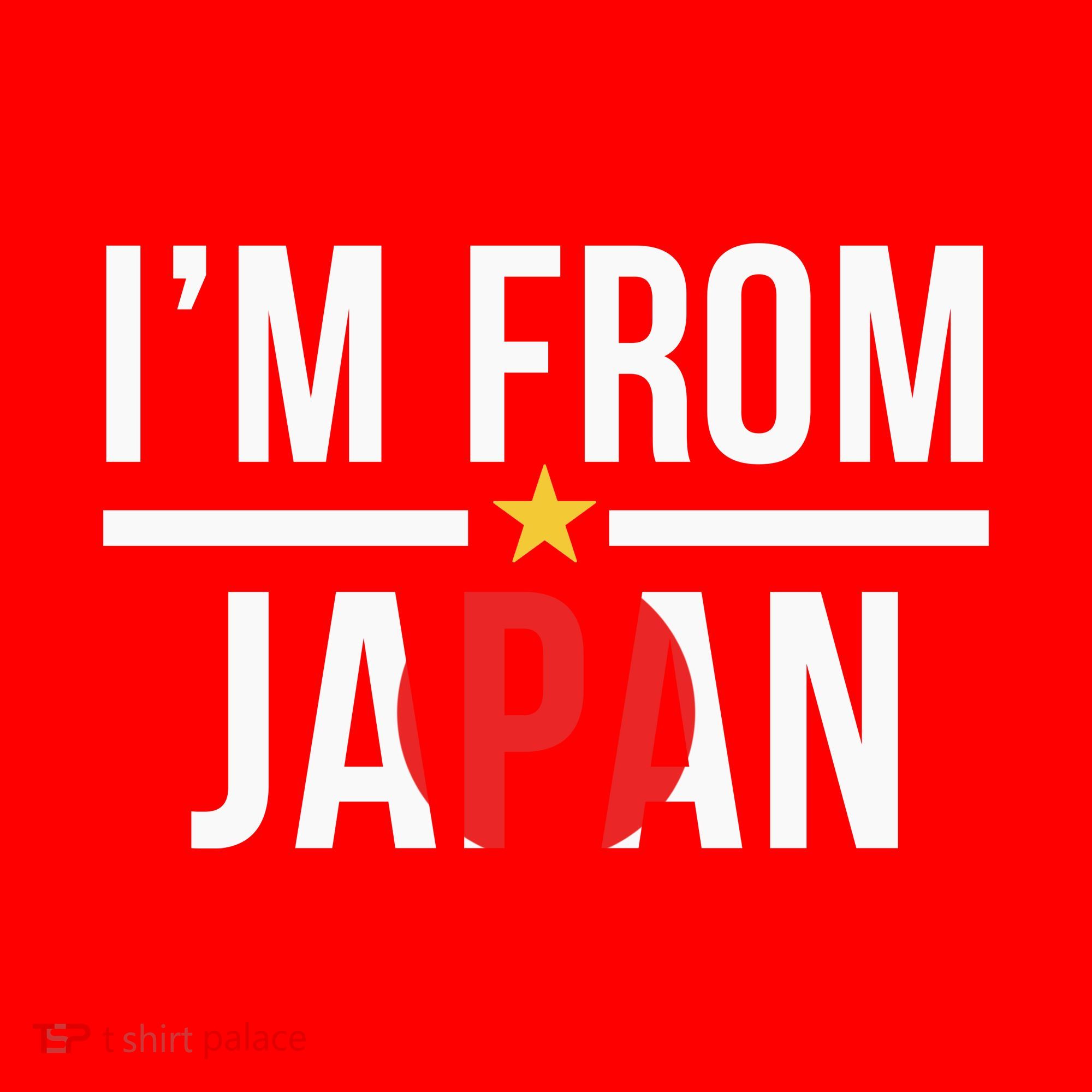 IM From Japan | Japanese Flag Santa Hat