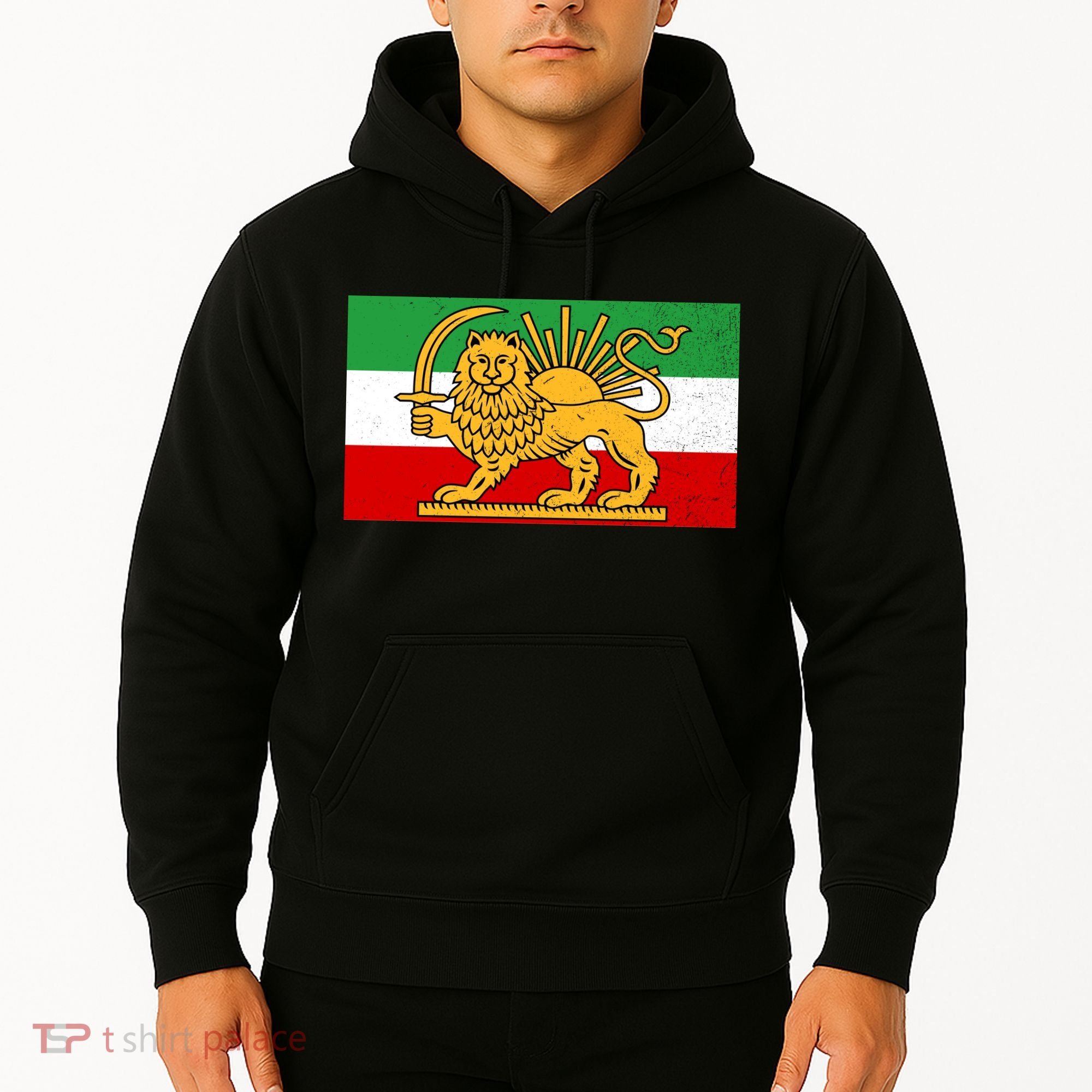 Iran Flag Lion And Sun Hoodie