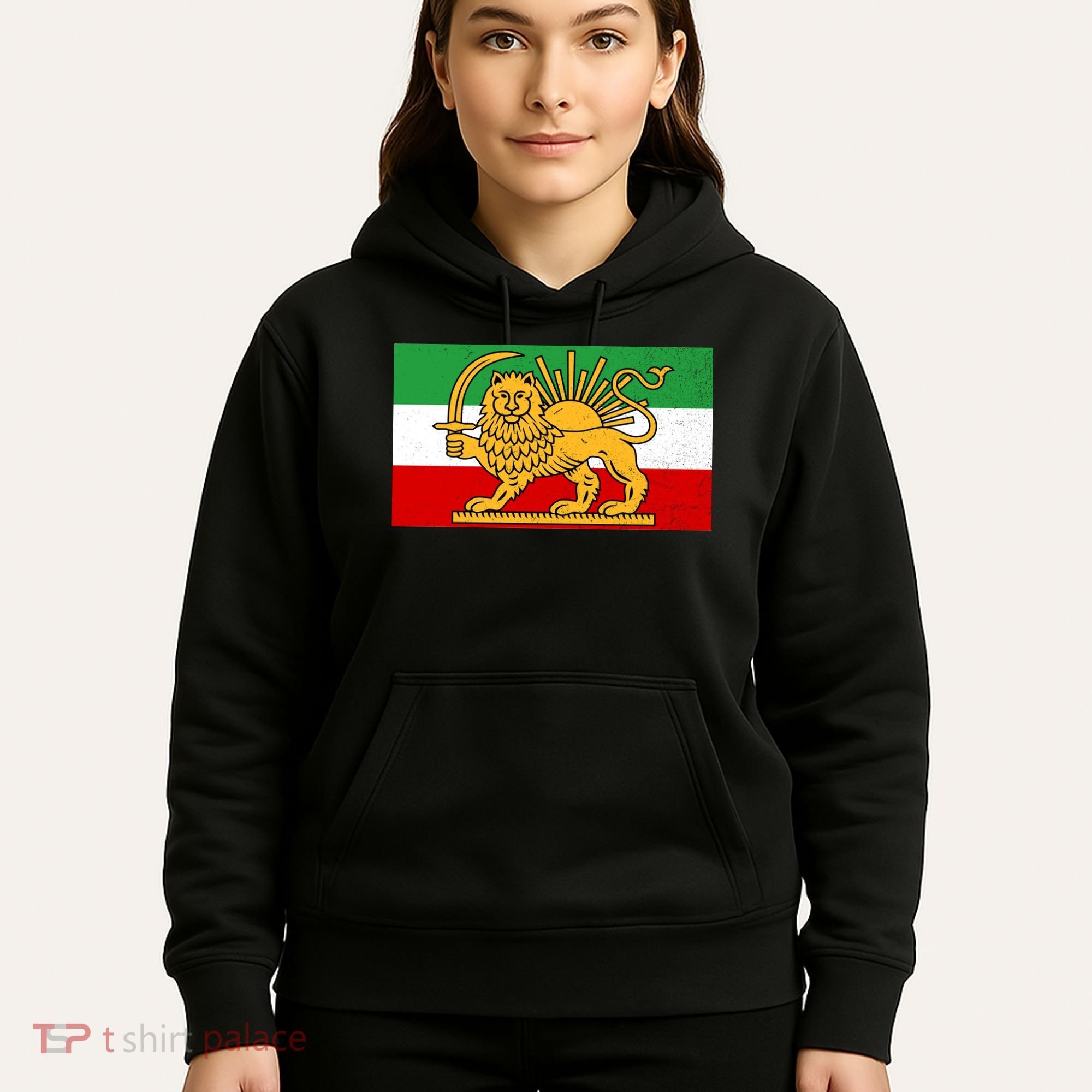 Iran Flag Lion And Sun Hoodie