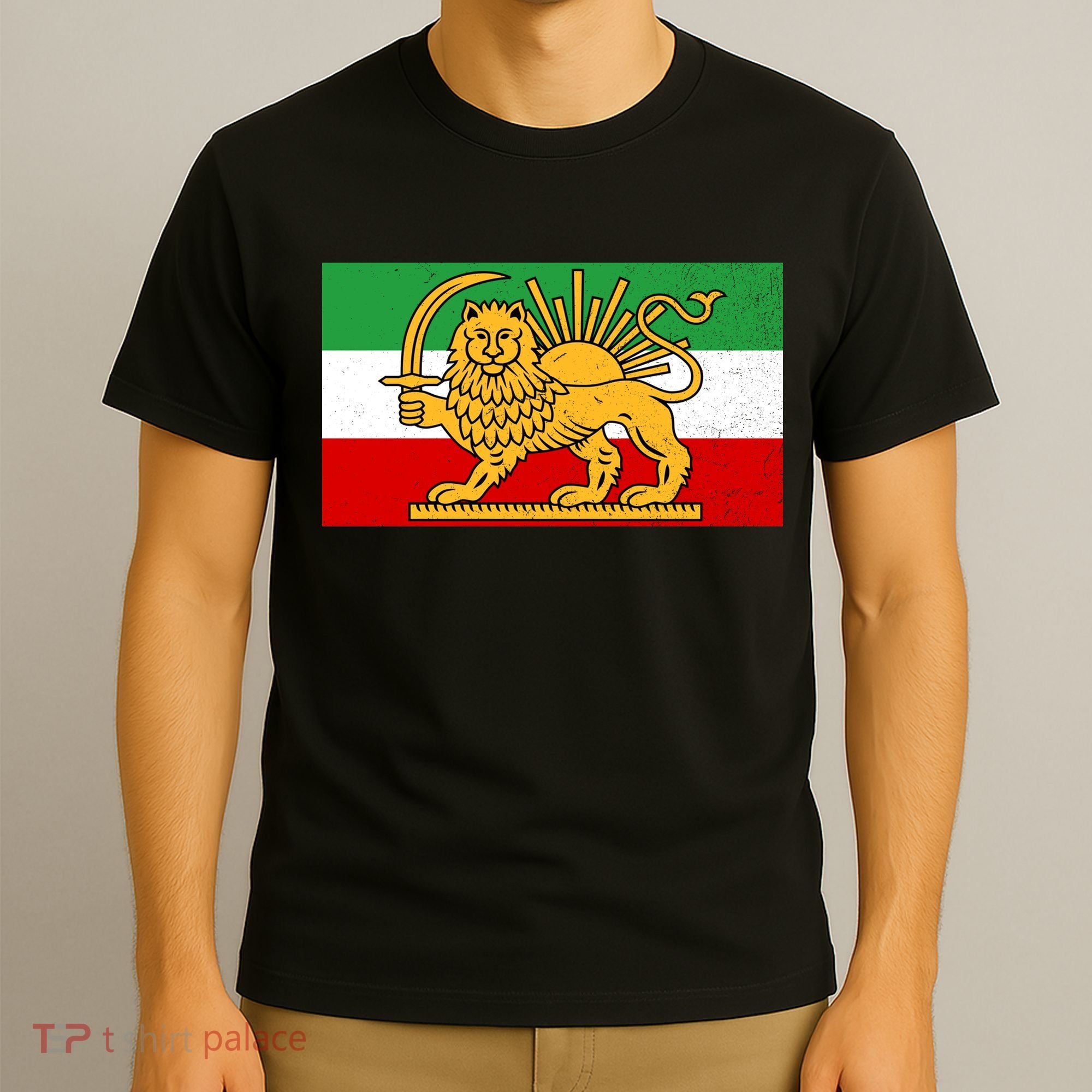 Iran Flag Lion And Sun T-Shirt