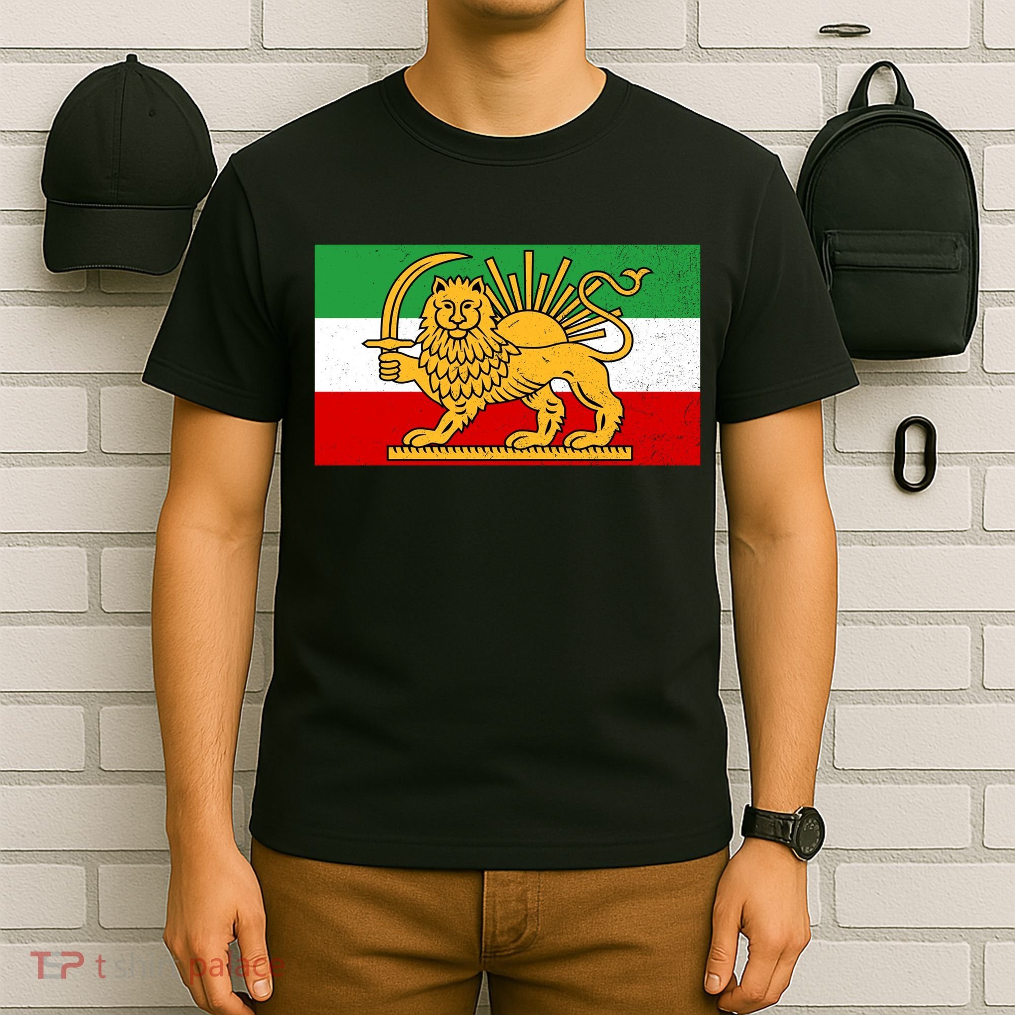 Iran Flag Lion And Sun T-Shirt