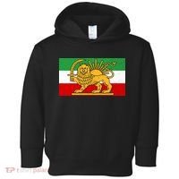 Iran Flag Lion And Sun Toddler Hoodie thumb 0