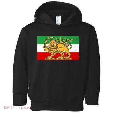 Toddler Hoodie