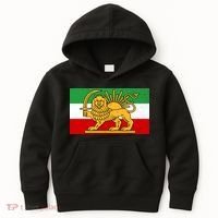 Iran Flag Lion And Sun Kids Hoodie thumb 0