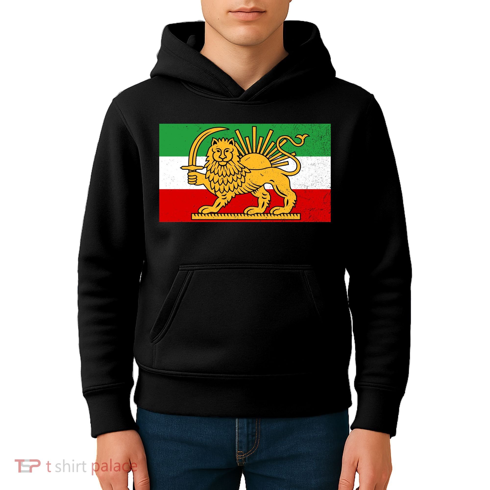 Iran Flag Lion And Sun Kids Hoodie