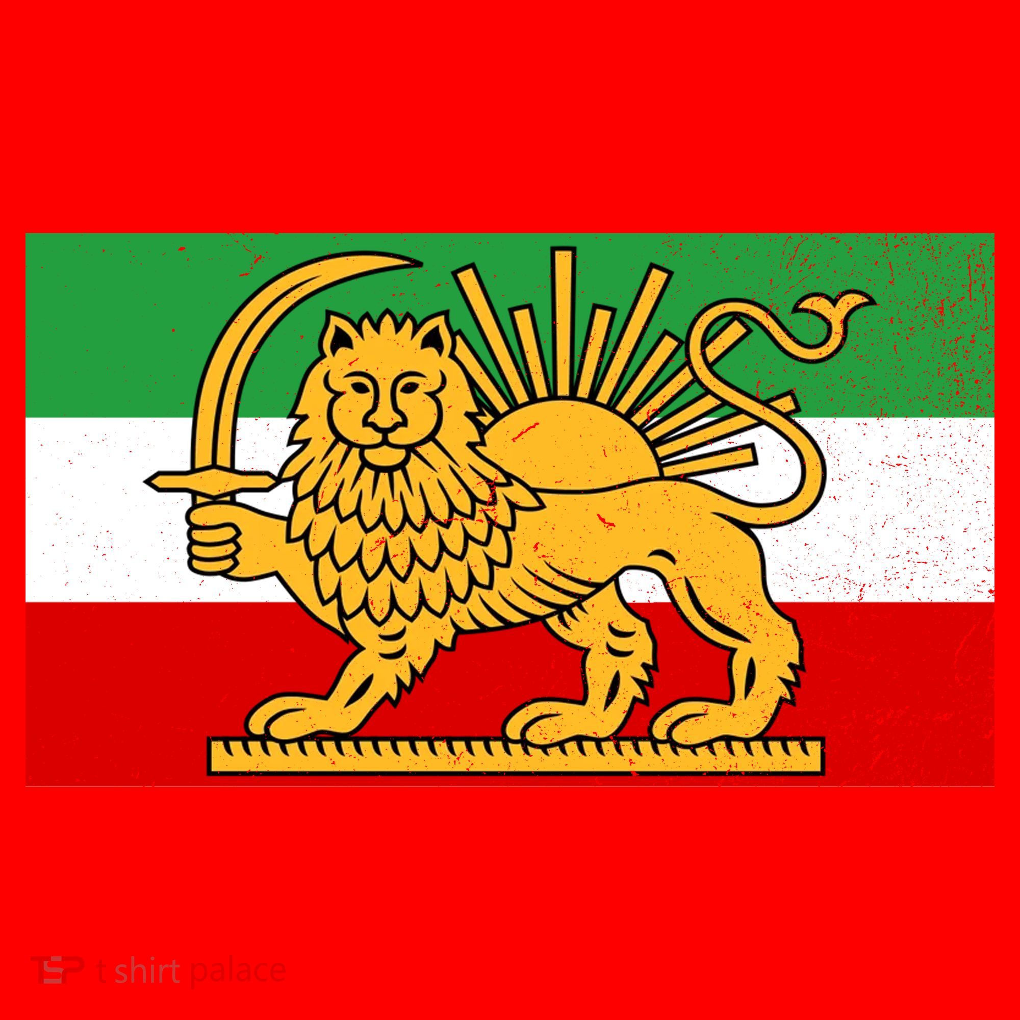 Iran Flag Lion And Sun Santa Hat