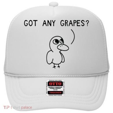 Ice Fresh Lemonade Duck Funny Got Any Grapes Love Gift Hat