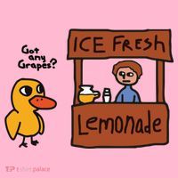 Ice Fresh Lemonade Got Any Grapes Duck Funny Ice Fresh Coaster thumb 2