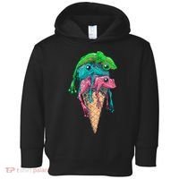 Icecream Frog Lover Food Funny Toddler Hoodie thumb 0
