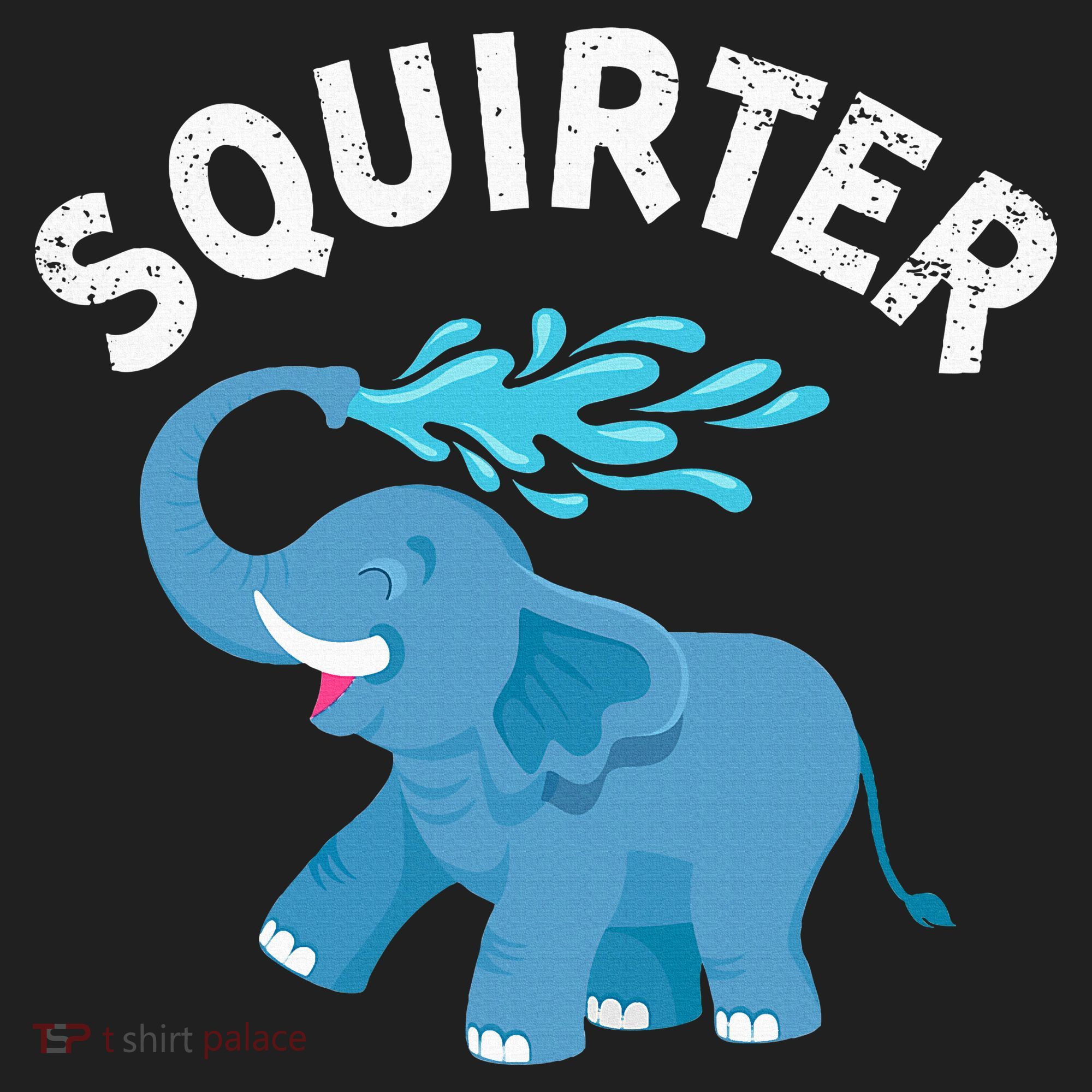 Inappropriate Funny Squirter Embarrassing Comfort Colors Heavyweight Long Sleeve T-Shirt