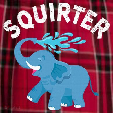 Inappropriate Funny Squirter Embarrassing Men's Flannel Plaid Pajama Pants