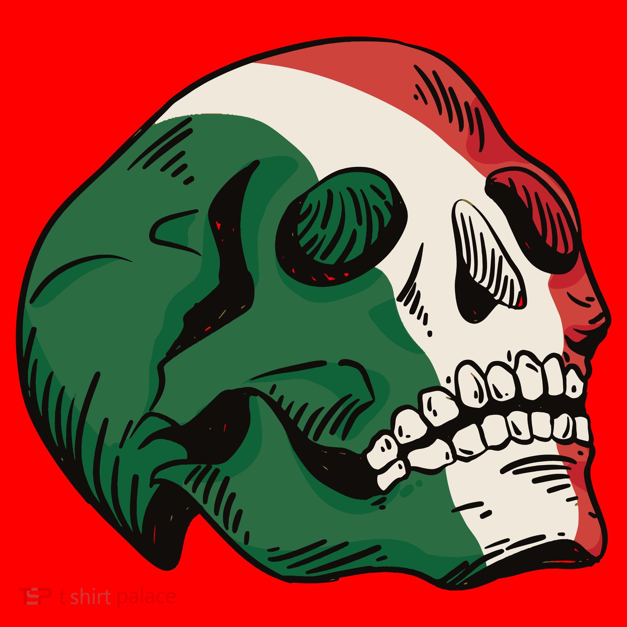Italian Flag Skull Santa Hat