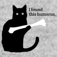 I FOUND THIS HUMERUS Kids T-Shirt thumb 2