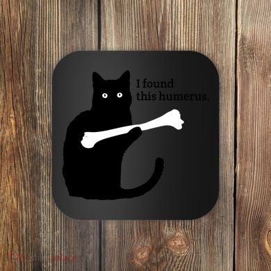 I FOUND THIS HUMERUS Coaster