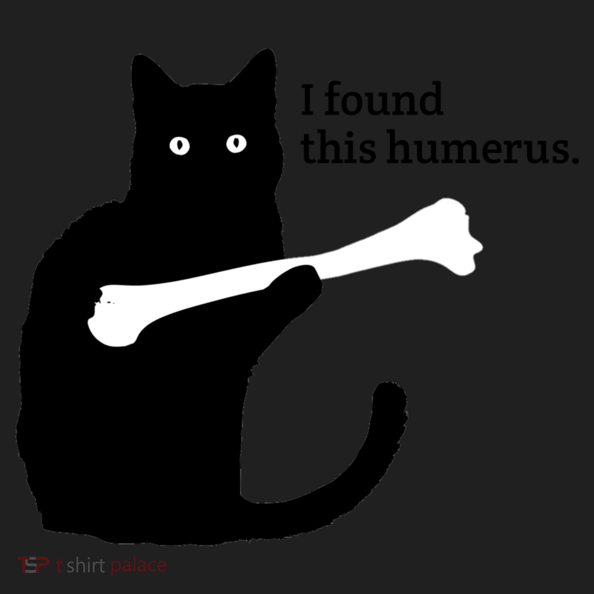 I FOUND THIS HUMERUS Tumbler