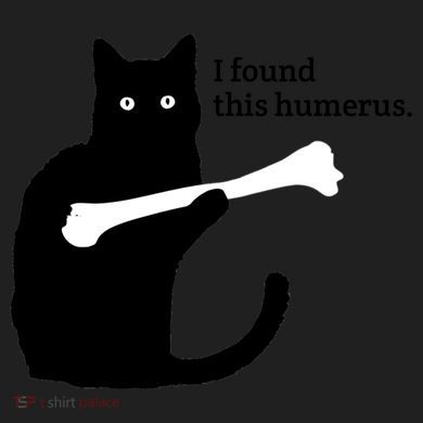 I FOUND THIS HUMERUS Golf Towel