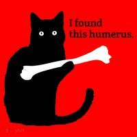 I FOUND THIS HUMERUS Santa Hat thumb 1