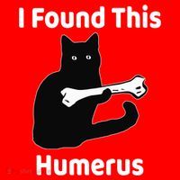 I Found This Humerus Funny Cat Lover Gift Santa Hat thumb 1