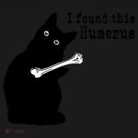 I Found This Humerus Humorous, Cat Lover Women's Hoodie thumb 2