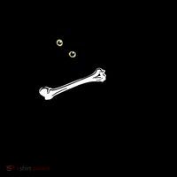 I Found This Humerus Humorous, Cat Lover Tank Top thumb 6