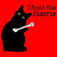 I Found This Humerus Humorous, Cat Lover Santa Hat thumb 1