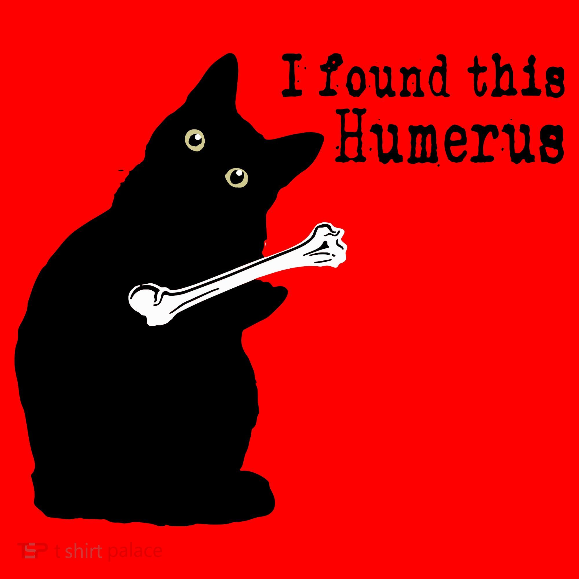 I Found This Humerus Humorous, Cat Lover Santa Hat