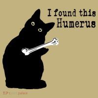 I Found This Humerus Humorous, Cat Lover T-Shirt thumb 7
