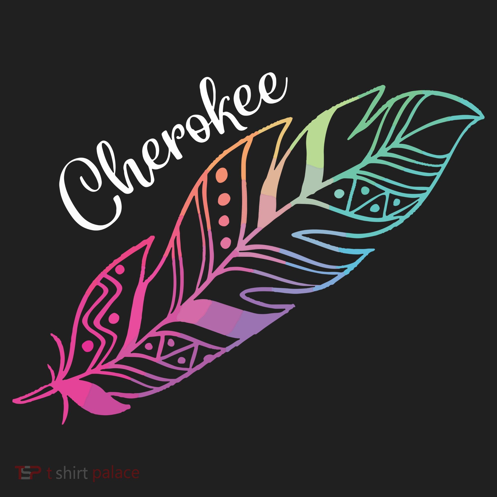 Indigenous Feather Tee Native American Cherokee Tribe Hat