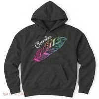 Indigenous Feather Tee Native American Cherokee Tribe Hoodie thumb 0