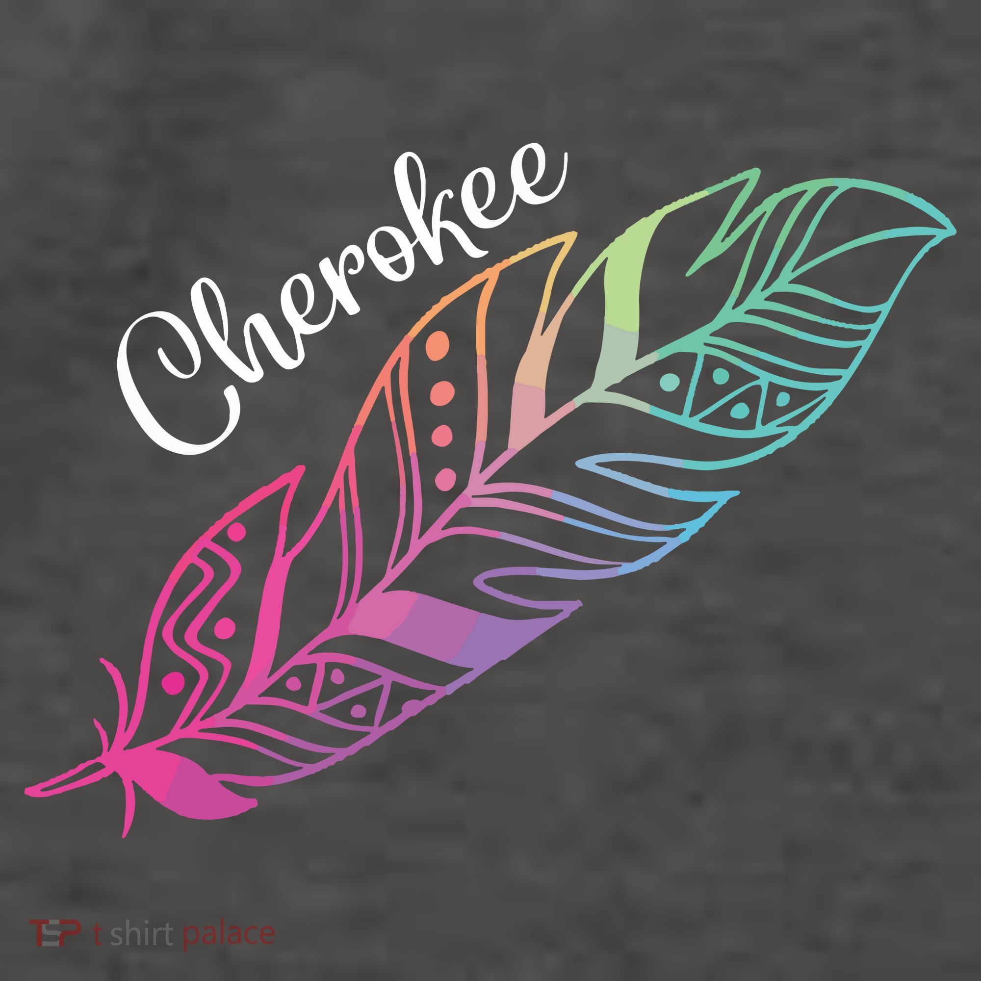 Indigenous Feather Tee Native American Cherokee Tribe Women's T-Shirt