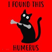 I Found This Humerus Funny Black Cat Santa Hat thumb 1