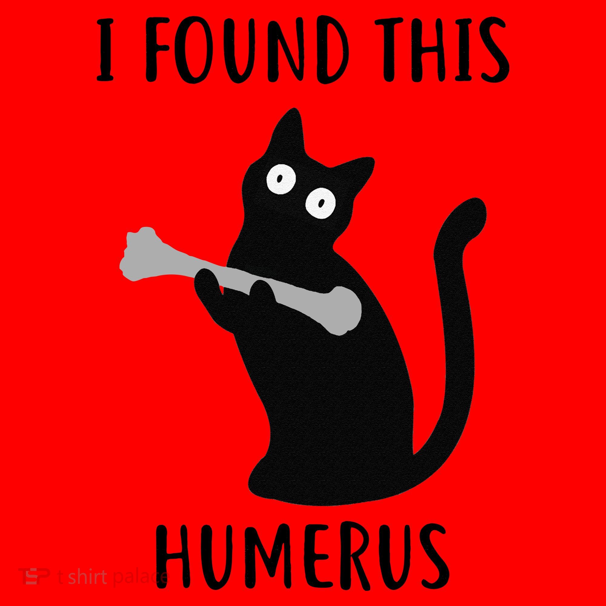 I Found This Humerus Funny Black Cat Santa Hat