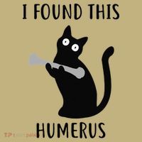 I Found This Humerus Funny Black Cat T-Shirt thumb 7