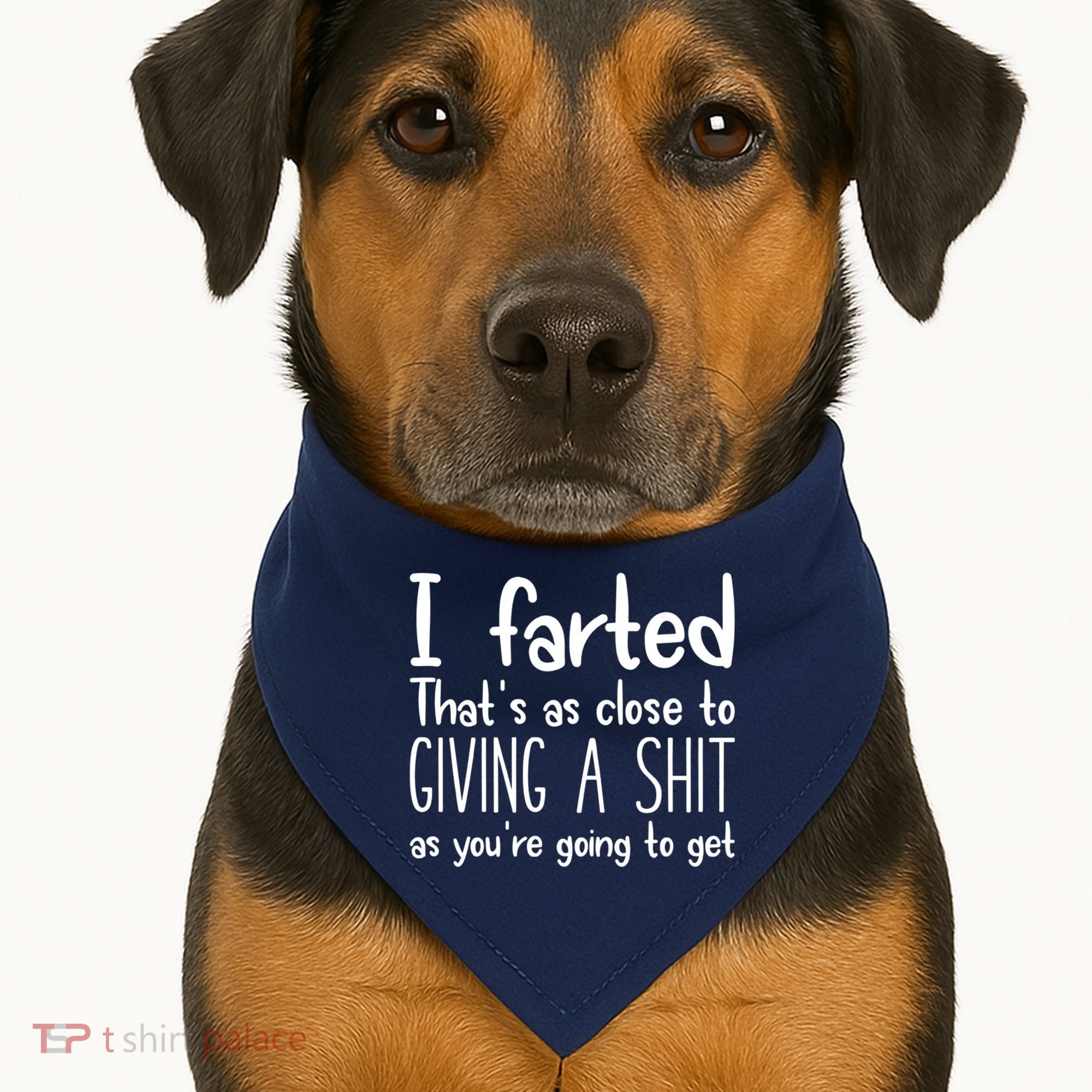 I Farted That's As Close To Giving A Shit USA-Made Doggie Bandana