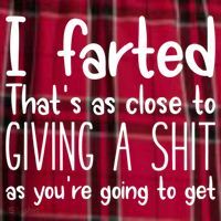 I Farted That's As Close To Giving A Shit Women's Flannel Plaid Pajama Pants thumb 2