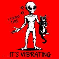 I Found This It's Vibrating Funny Alien Cat Santa Hat thumb 1
