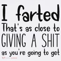 I Farted ThatS As Close To Giving A Shit As YouRe Going To Kids Sweatshirt thumb 2