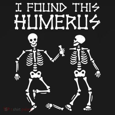 I Found This Humerus Funny Halloween Skeletons Hooded Wearable Blanket