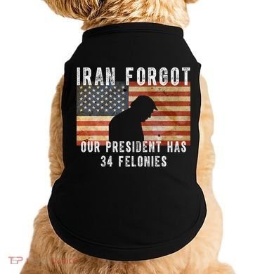 Iran Forgot Trump Has 34 Felonies Doggie Tank