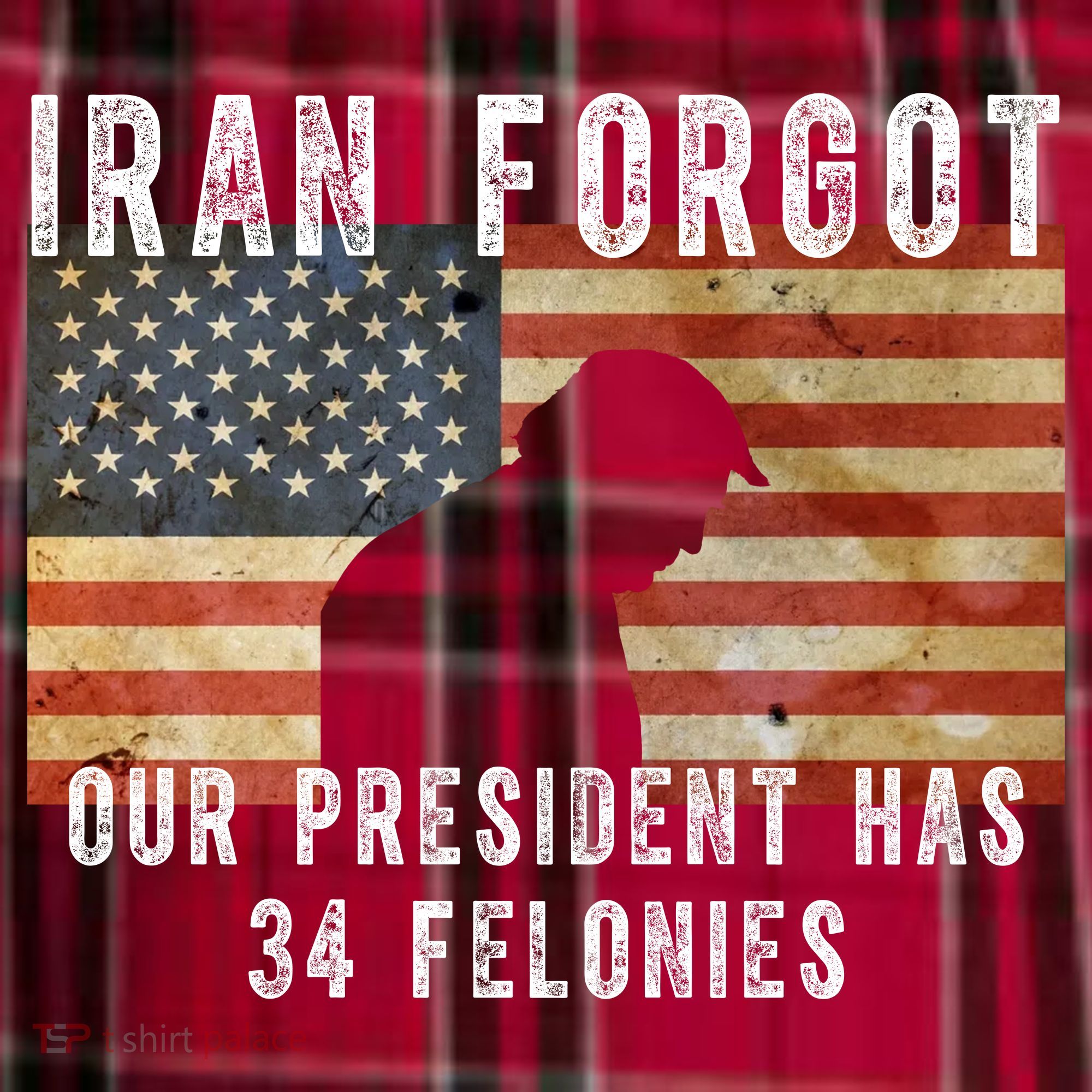 Iran Forgot Trump Has 34 Felonies Women's Flannel Plaid Pajama Pants