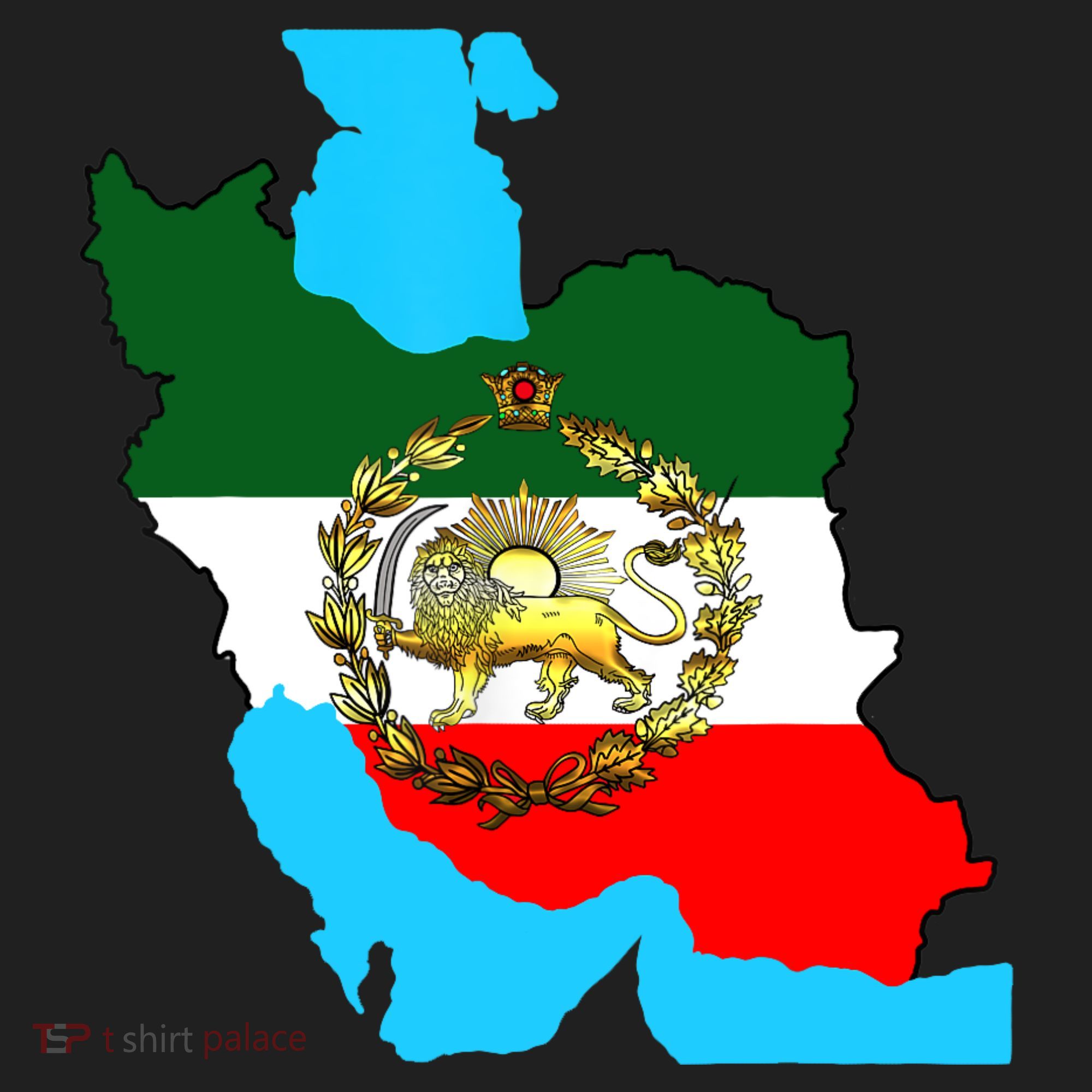 Iran Flag With A Golden Lion Beanie