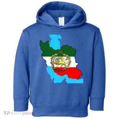 Iran Flag With A Golden Lion Toddler Hoodie