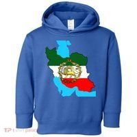 Iran Flag With A Golden Lion Toddler Hoodie thumb 0