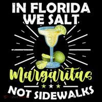In Florida We Salt Margaritas Not Sidewalks Winter Gift Women's Hoodie thumb 2