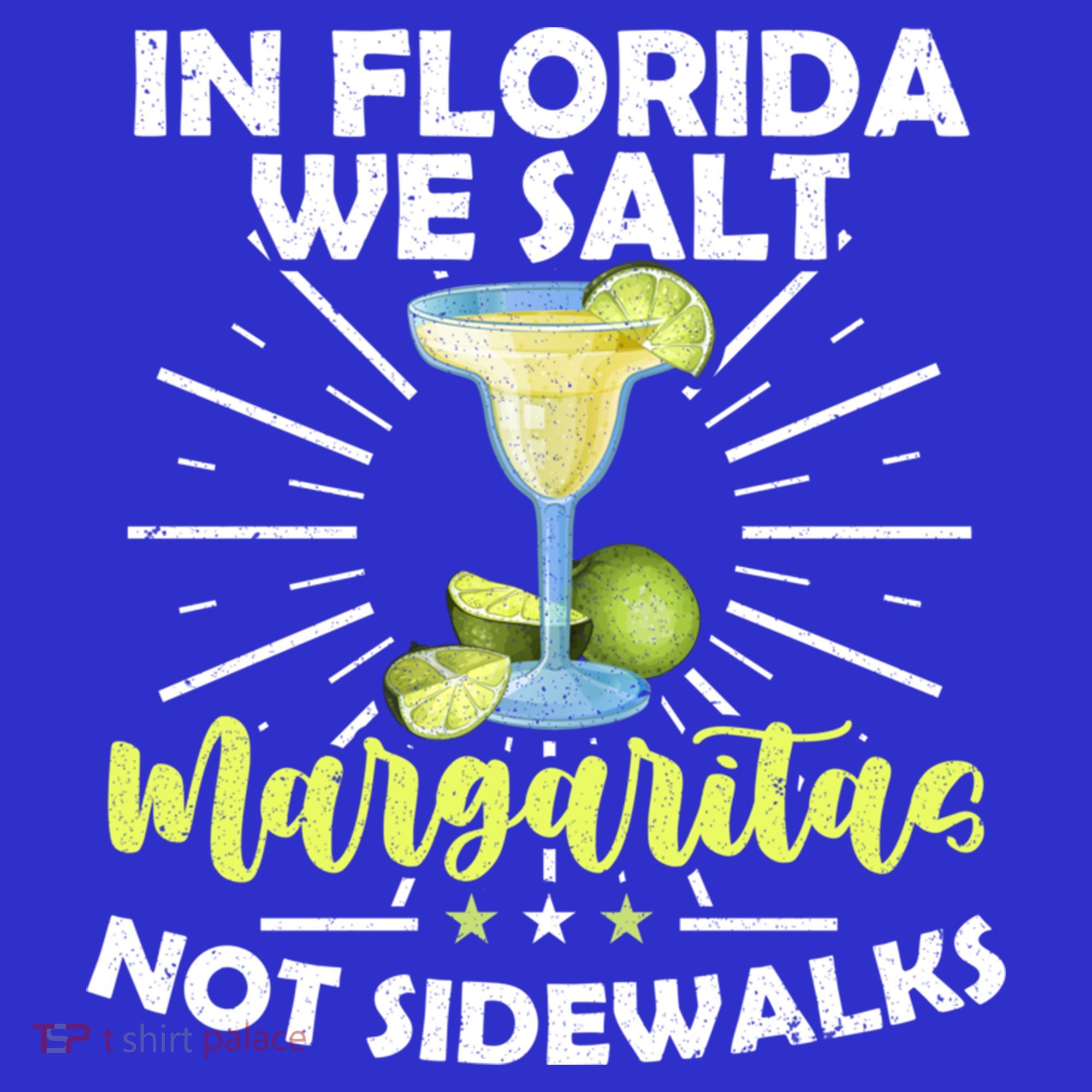 In Florida We Salt Margaritas Not Sidewalks Winter Gift Women's T-Shirt